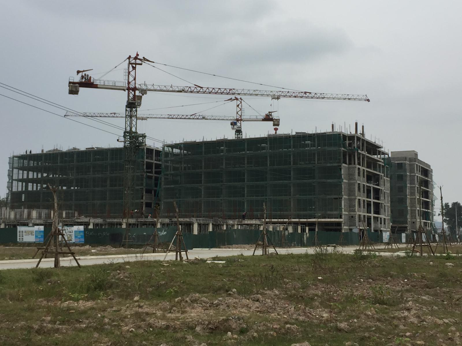 Đặt giá gấp đôi, Hải Phát giành quyền sở hữu 23% cổ phần Cienco 5